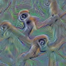 n02483362 gibbon, Hylobates lar